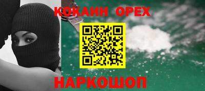 дмт Гай