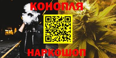 дмт Гай