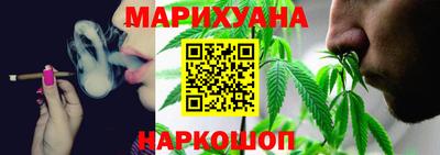 дмт Гай