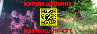 дмт Гай