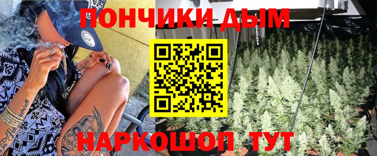 Конопля марихуана Мурманск
